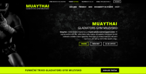 Muaythai Gladiators Gym Milevsko